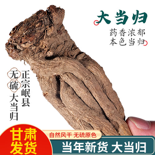 当归岷县500g整根甘肃中药材