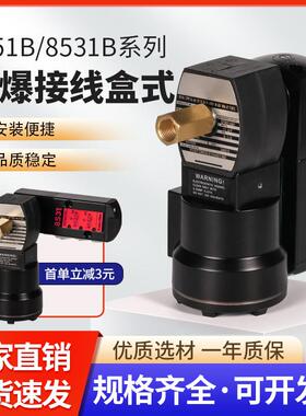气动接线盒式防爆电磁阀VCEFCM8551G401/402/417/418/301/302MO