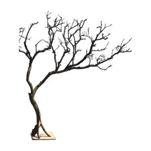 干树枝造景干枝树干许愿树枯树室内玄关造型树枝干原木树枝装饰树