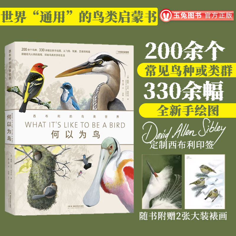 何以为鸟西布利的鸟类世界科普