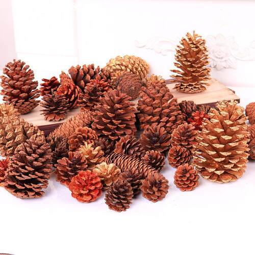 PinecoChristmaTDdFlow