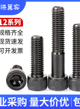 M12/12.9级内六角螺丝钉M12*16*30180*600全牙杯头半牙圆柱头螺栓