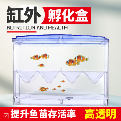 鱼缸隔离孵化盒孔雀鱼缸外繁殖盒