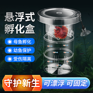 鱼缸孔雀鱼繁殖盒隔离盒凤尾斑马母鱼产房小鱼缸内胎生鱼产卵孵化