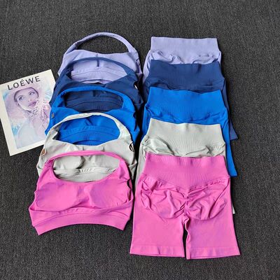2 Pieces Yoga Suit for Women Seamless Fitness Gym Clothes Ha