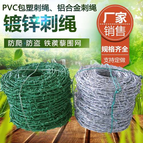 防盗防爬带刺铁丝网钢丝网