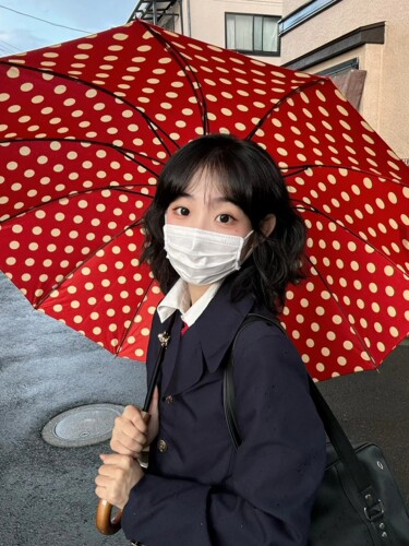红色波点伞高颜值复古小众长柄伞12骨直杆伞实木弯柄雨伞女学生上