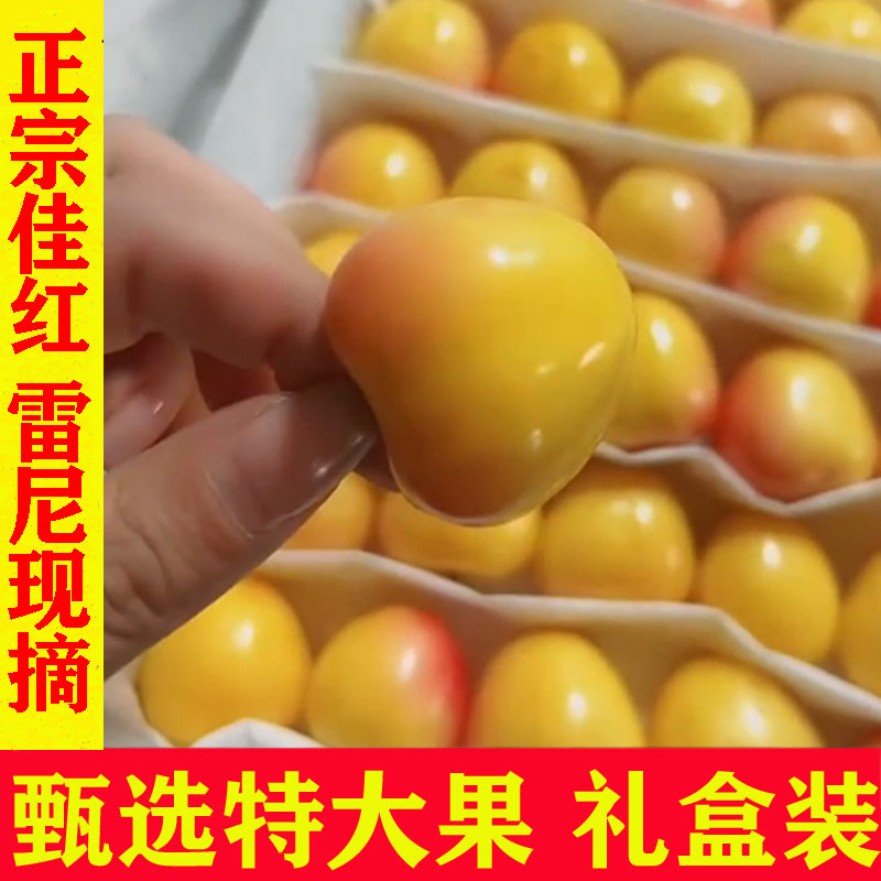 大连黄樱桃佳红雷尼尔樱桃孕妇水果新鲜当季整箱黄金车厘子现货,水产肉类/新鲜蔬果/熟食,车厘子/樱桃,淘宝优惠券,粉丝福利购,淘宝优惠卷