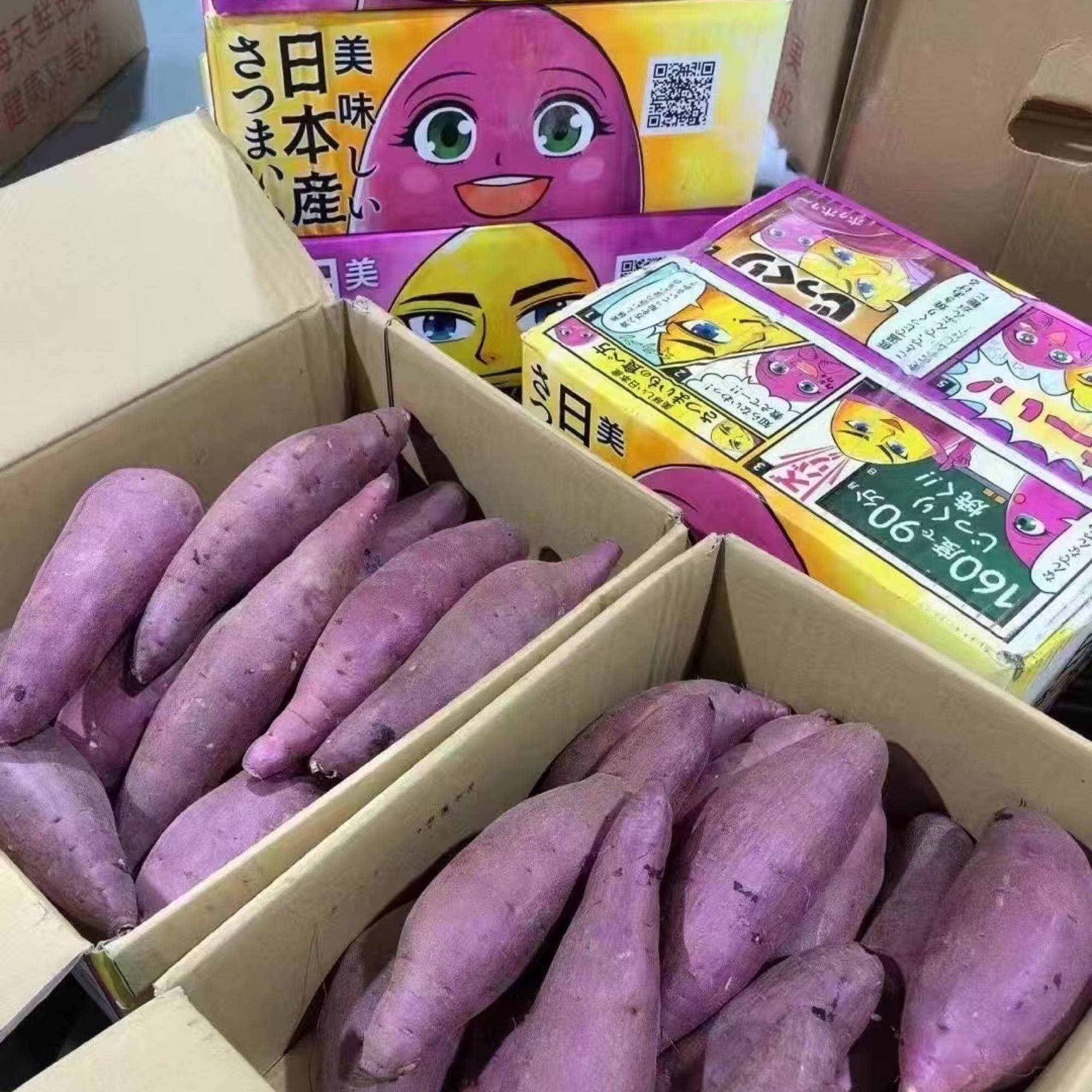 北海道蜜薯地瓜番薯粉糯细腻皮薄无筋日本似品种好吃高甜度地瓜