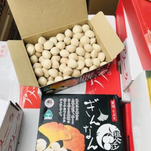 现货日本爱知县祖父江腾九郎久寿3L尺寸银杏果白果500g盒装超大果