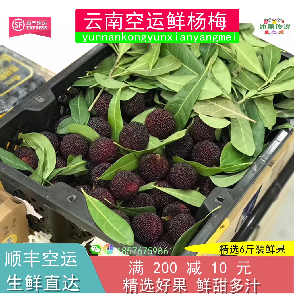云南新鲜杨梅6斤原箱黑框东魁杨梅鲜果甜多汁顺精选大果孕妇水果