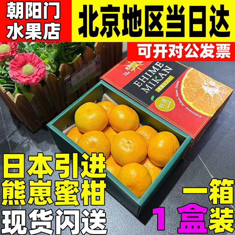 柑橘王国爱媛熊崽蜜柑皮薄果肉饱满细腻无渣无核爱媛蜜桔深圳顺丰