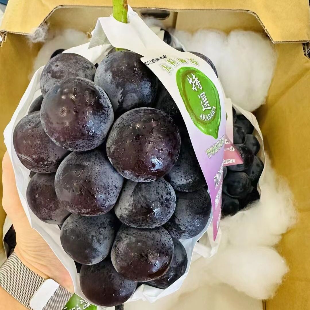 当季水果罕见整箱礼盒送人