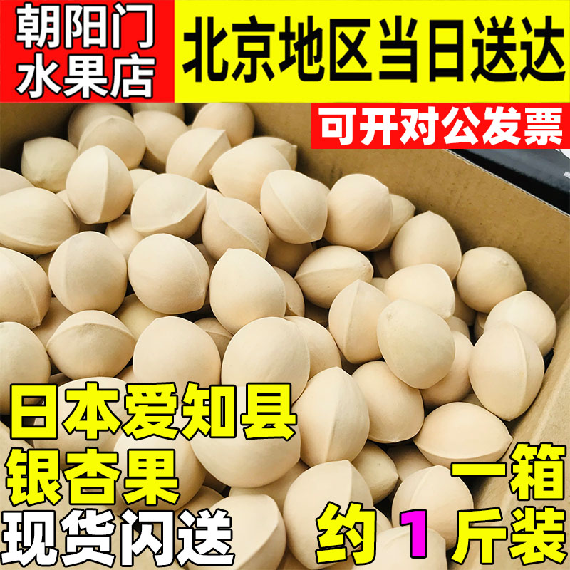 日本爱知县 腾九郎级别3L大果 银杏果品种现货 500g 一斤 礼盒装