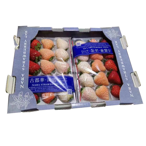 白草莓日本进口水果新鲜孕妇顺丰