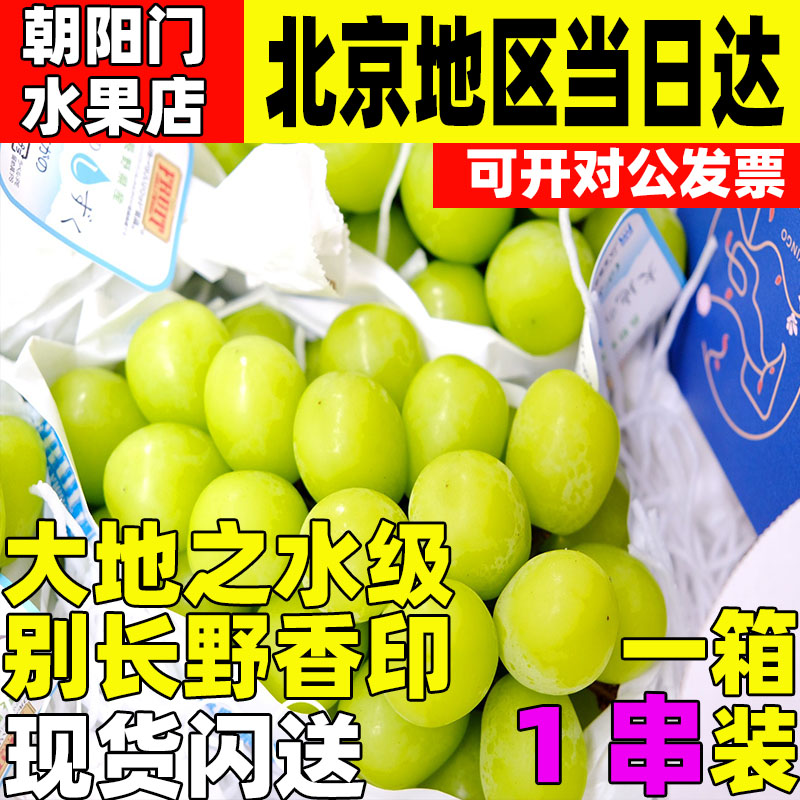 日本引进大地之水级别长野香印青提麝香葡萄青印阳光翠玉青幻晴王