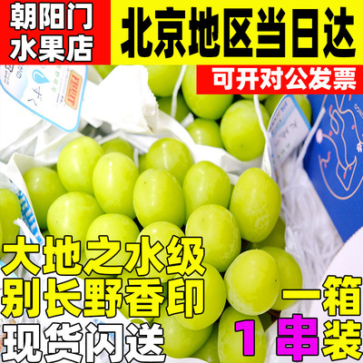 日本引进大地之水级别长野香印青提麝香葡萄青印阳光翠玉青幻晴王