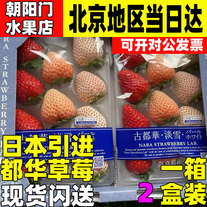 日本引进水果草莓草莓