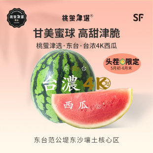 台浓4K西瓜 单蔓头茬 日引「甘美4k」 东台产 礼盒装 SF
