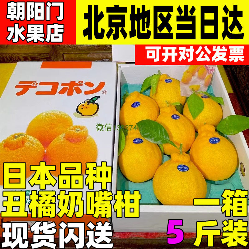 日本品种大分凸嘴柑1盒新鲜大橘子清甜丑橘奶嘴柑孕妇水果顺丰