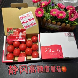 日本静冈西红柿日本引进番茄似品种甜酸口感 静冈高糖度番茄amela