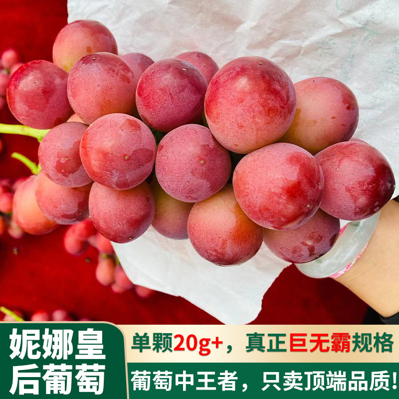 当季水果顺丰孕妇应季罕见