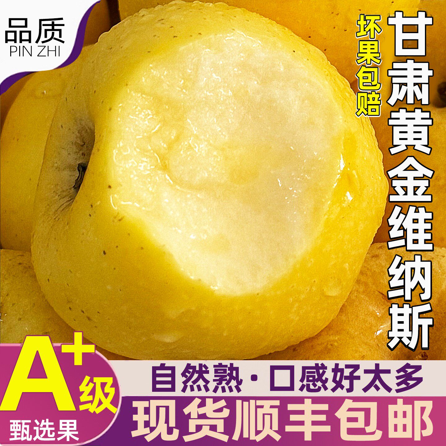 甘肃平凉黄金维纳斯苹果 脆甜多汁当季灵台黄苹果顺丰