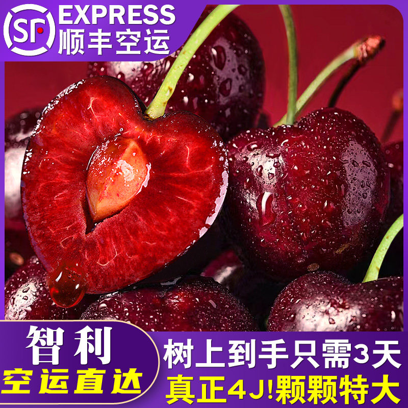 智利车厘子新鲜水果孕妇现货樱桃