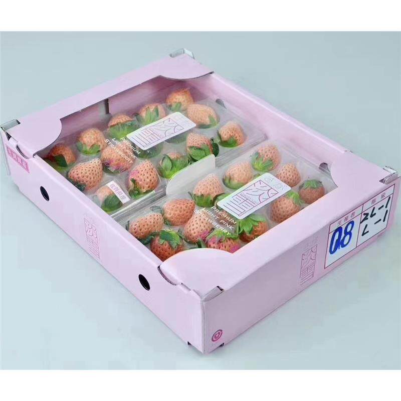 淡雪草莓佐贺淡雪草莓士多啤梨日本品种国产好吃草莓深圳同城水果
