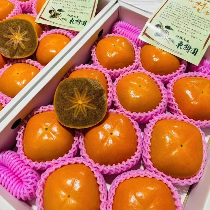 和歌山黑柿子原箱礼盒7斤日本品种黑甘柿新鲜黑金柿纪之川脆黑柿