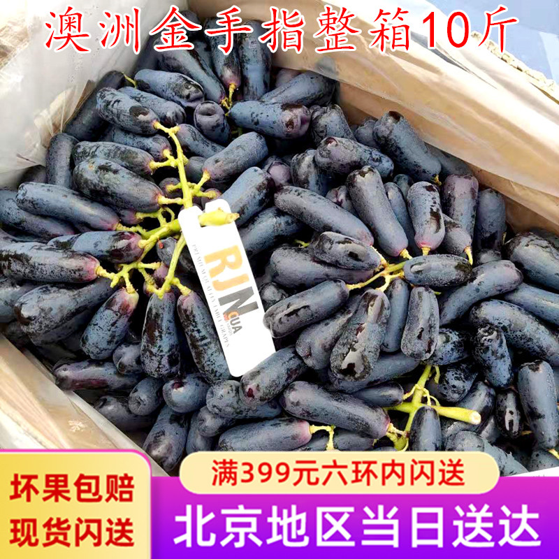 澳洲金手指10斤新鲜水果蓝宝石葡萄无籽黑美人提子脆甜多汁黑提子