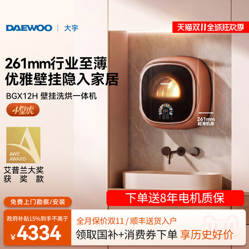 【超薄小壁虎】大宇壁挂式洗衣机