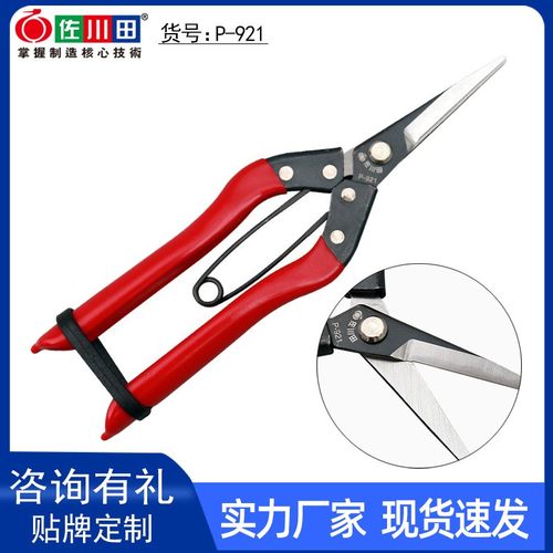 佐川田921 采果剪蔬果剪花艺插花剪仙人掌罗宾汉 日本钢