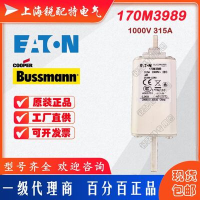 170M3989快速熔断器 1000V 315A 巴斯曼BUSSMANN快速熔断器