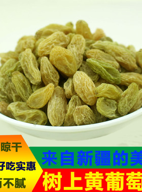 新疆葡萄干吐鲁番树上黄独立包装500g非免洗无核白干果零食特产