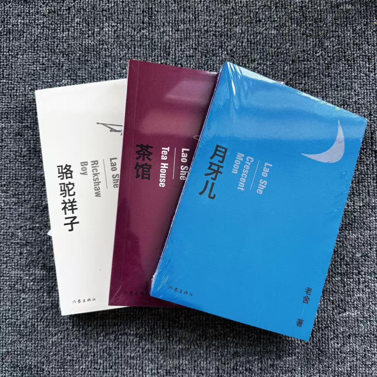 正版 老舍经典三部曲 月牙儿+文学作品集