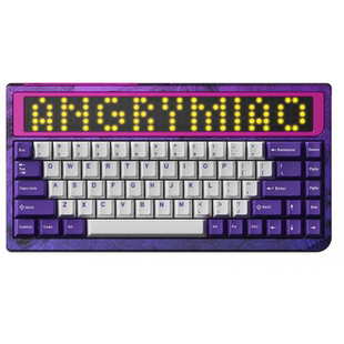 RGB65 AngryMiao 怒喵 客制化套件 冰花紫三模機械鍵盤