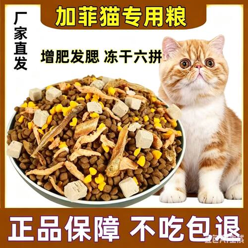加菲猫专用冻干猫粮成幼猫冻干通用猫咪营养主食粮10斤二月满月后