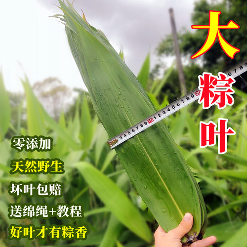 新鲜好叶才有粽香100张坏叶包赔
