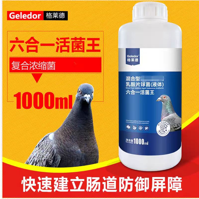 格莱德六合一活菌王赛鸽肠道调理