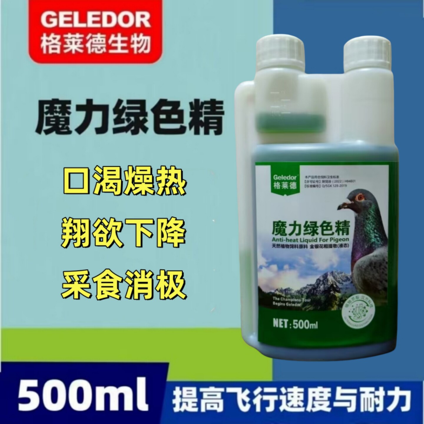 格莱德魔力绿色精赛鸽清凉解暑