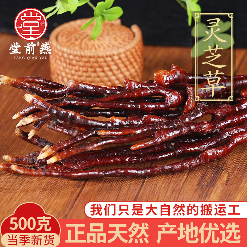 中药材正宗灵芝草长白山特产整枝赤灵芝鹿角灵芝片林芝500g克
