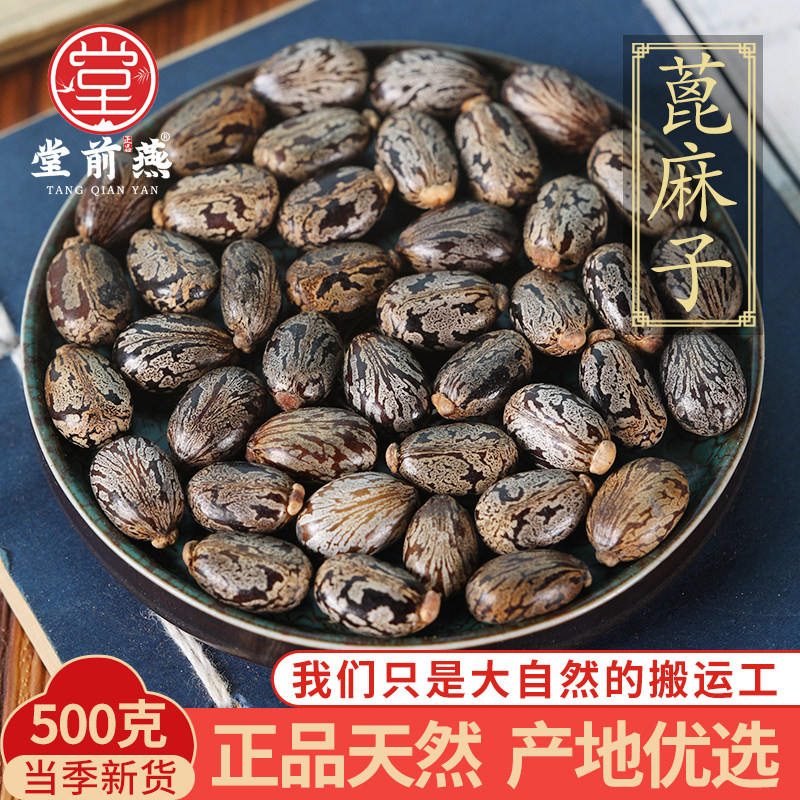 中药材特级野生蓖麻子正品蓖麻籽500g克红麻子蓖麻仁蓖麻种子