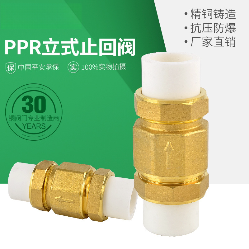 PPR止回阀立式卧式自来水水管水表单向阀20止逆PE全铜4分6分DN15