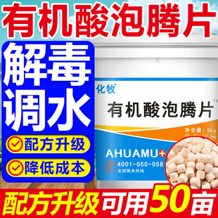 解毒碧水安泡腾片水产养殖有机酸调水解毒碧水灵鱼塘虾蟹解毒剂净