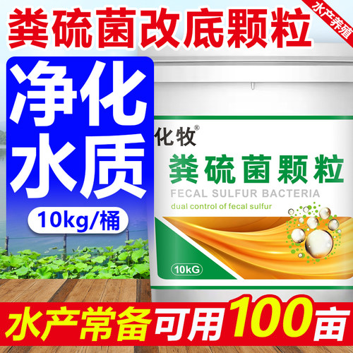粪硫菌颗粒水产养殖专用改底净化水质分解淤泥底泥生物改底硫化氢