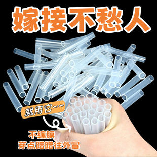 园林嫁接专用套管树苗盆栽切口连接保护软管易成活种植工具免拆管