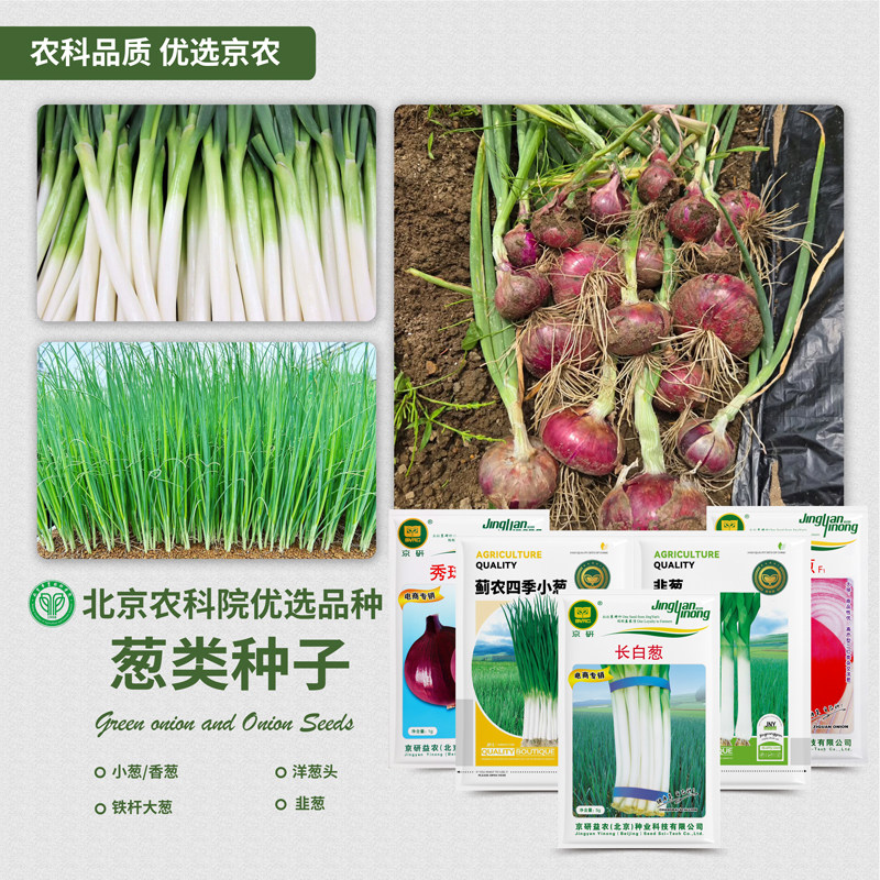 农科院葱种子大葱四季小香葱韭葱分葱红葱头家庭阳台盆栽蔬菜籽孑