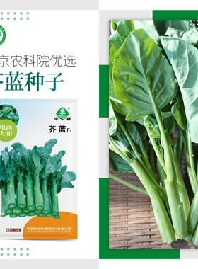 农科院芥蓝种子甜脆鸡腿芥兰春菜
