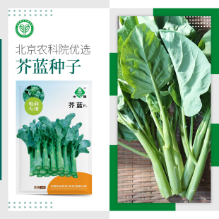 农科院芥蓝种子甜脆鸡腿芥兰春菜露地阳台盆栽耐寒抗病蔬菜种籽孑
